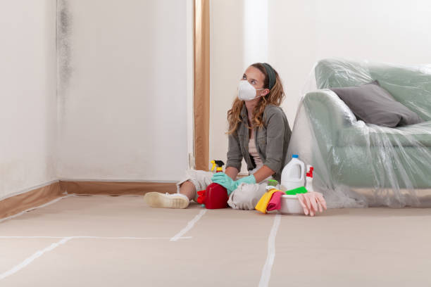 Reliable Mold Remediation contractor in Benton Heights, MI by 24 Hour Mold Removal